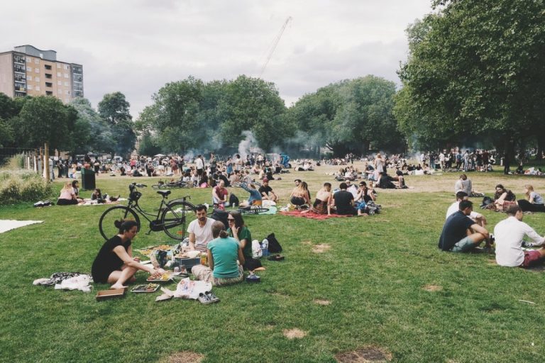 Titelbild zu „Alles für das Picknick mit der Familie“